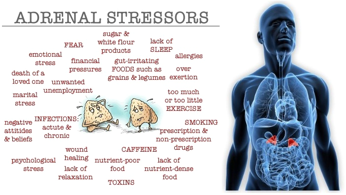 Navigating Adrenal Insufficiency: Unraveling the Intricacies of Hormonal Balance