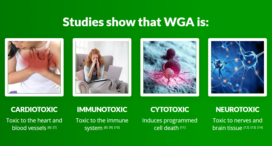 How to Kick Start Your Keto Diet for Maximum Fat Burning