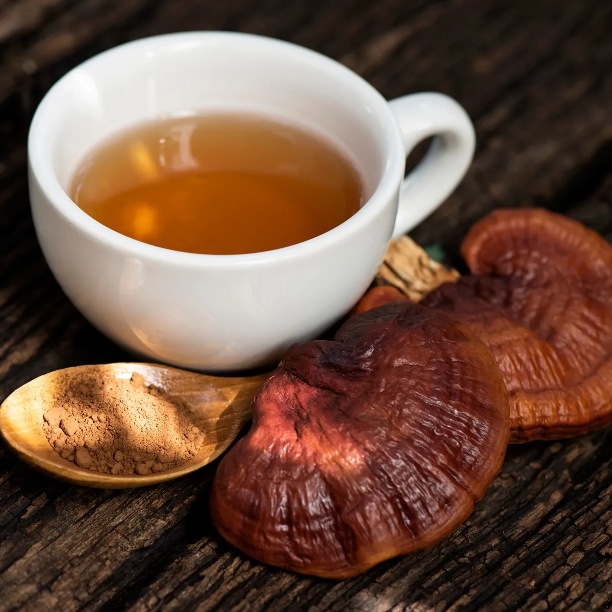 Best Reishi Mushroom Supplement