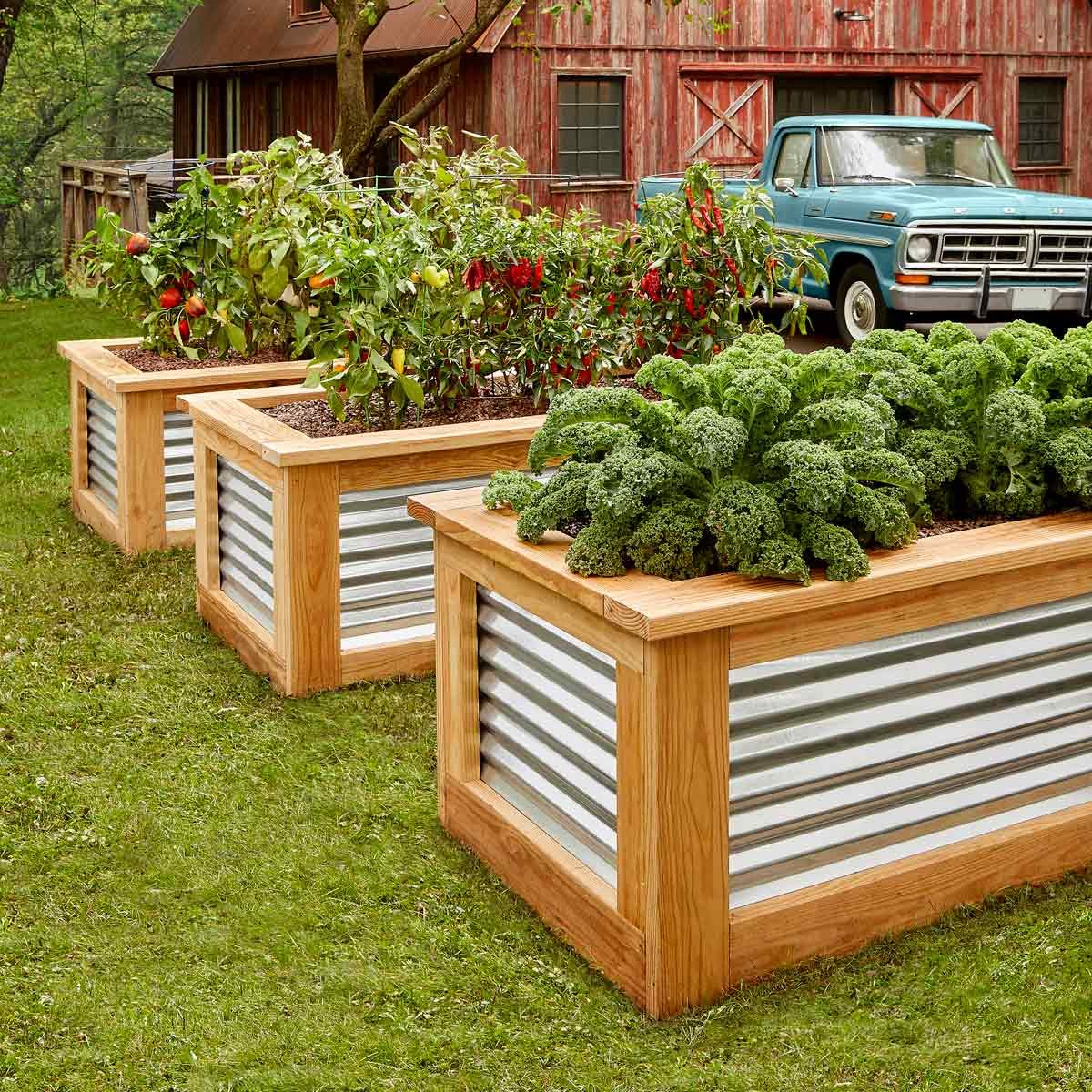 RAISED GARDEN BED THE CONVENIENCE OF GARDENING